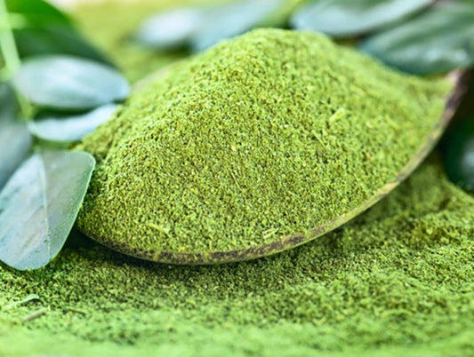 Poudre de moringa bio